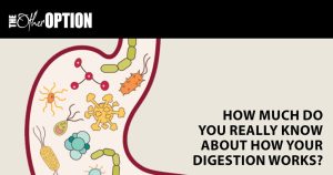 Myth or Fact: Digestion takes place primarily in the stomach.
